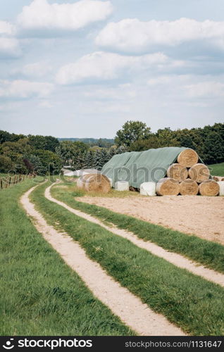 The road through the farm. Near the road are haystacks.