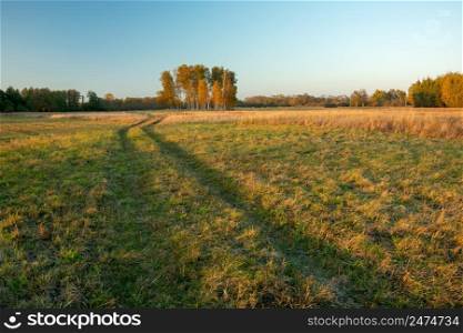The road through the meadow and autumn trees, evening view