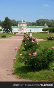 The road to the palace lined with blooming peony (Kuskovo Estate near Moscow)