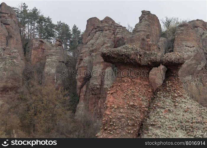 the rocks of Belogradchik, Bulgaria
