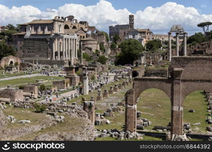 The Roman Forum in the city of Rome, Italy. . Roman Forum- Rome - Italy