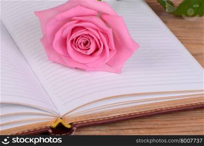 The rose on the book close up