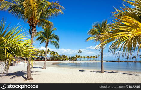 The Round Beach at Matheson Hammock County Park Miami Florida. Round Beach in Miami Florida USA