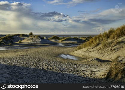 the rugged De Horst nature reserve on the island of Texel with sand dunes, marram grass and water on a sunny winter day