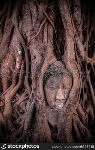 The ruin of Buddha statue at Wat Mahathat temple, Ayutthaya, Thailand