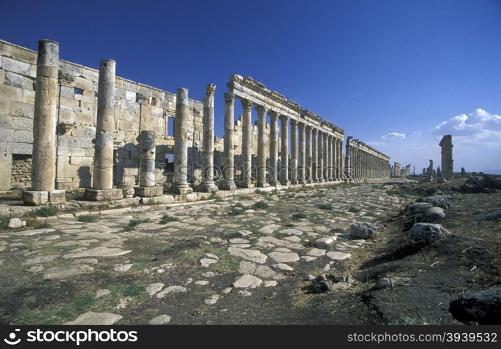 the ruins of Apamea near the city of Hama in Syria in the middle east. MIDDLE EAST SYRIA HAMA APAMEA RUINS