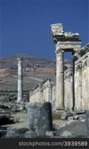 the ruins of Apamea near the city of Hama in Syria in the middle east. MIDDLE EAST SYRIA HAMA APAMEA RUINS