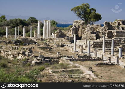 The Ruins of Salimis in the Turkish Republic of Northern Cyprus. These ruins date back to the 11th Century BC.