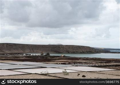 the salt of Lanzarote which collects sea salt
