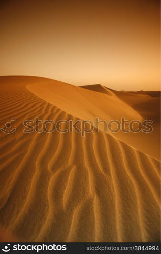 the Sanddunes at the Playa des Ingles in town of Maspalomas on the Canary Island of Spain in the Atlantic ocean.. EUROPE CANARY ISLAND GRAN CANARY