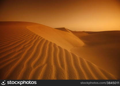 the Sanddunes at the Playa des Ingles in town of Maspalomas on the Canary Island of Spain in the Atlantic ocean.. EUROPE CANARY ISLAND GRAN CANARY