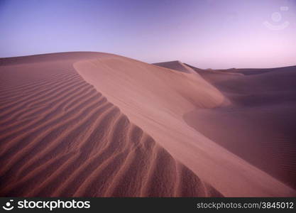 the Sanddunes at the Playa des Ingles in town of Maspalomas on the Canary Island of Spain in the Atlantic ocean.. EUROPE CANARY ISLAND GRAN CANARY