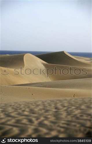 the Sanddunes at the Playa des Ingles in town of Maspalomas on the Canary Island of Spain in the Atlantic ocean.. EUROPE CANARY ISLAND GRAN CANARY