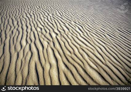 the sanddunes near the Oasis and village of Siwa in the lybian or western desert of Egypt in north africa. AFRICA EGYPT SAHARA SIWA DESERT