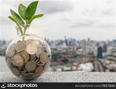 The saplings that grow on the pile of coins In a glass bottle on cityscape background Symbol for business growth. Investment concept for growth and saving money. Space for text input, Selective focus.