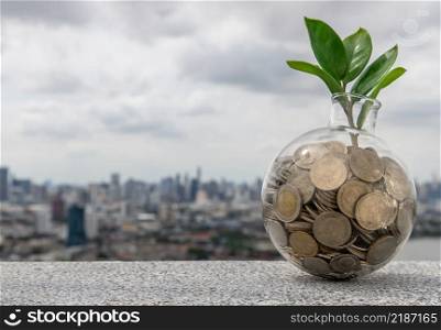 The saplings that grow on the pile of coins In a glass bottle on cityscape background Symbol for business growth. Investment concept for growth and saving money. Space for text input, Selective focus.