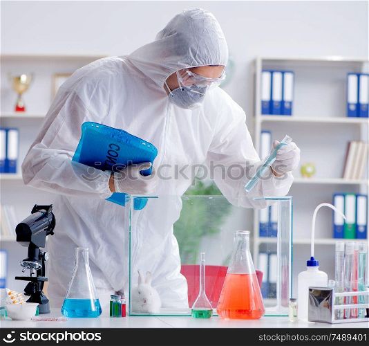 The scientist doing animal experiment in lab with rabbit. Scientist doing animal experiment in lab with rabbit