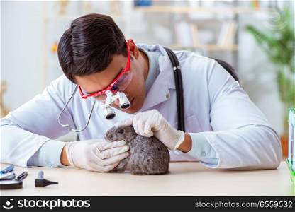 The scientist doing testing on animals rabbit. Scientist doing testing on animals rabbit