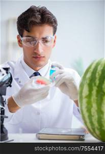 The scientist testing watermelon in lab. Scientist testing watermelon in lab