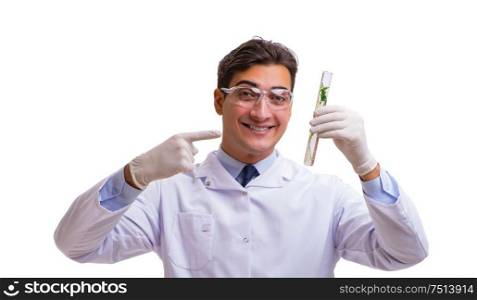 The scientist with green seedling in glass isolated on white. Scientist with green seedling in glass isolated on white