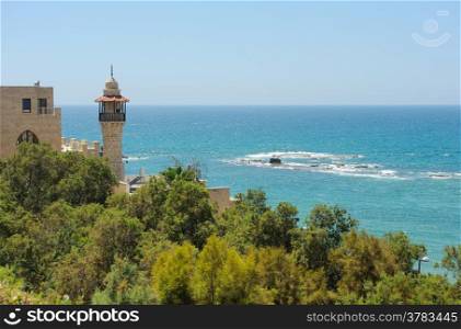 The sea, the houses and trees of Old Jaffa