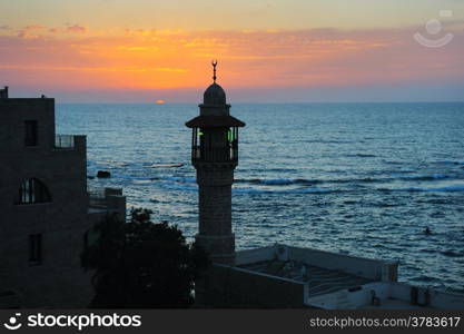 The sea, the houses and trees of Old Jaffa