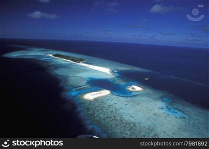 the seascape of the island and atoll of the Maldives Islands in the indian ocean.. ASIA INDIAN OCEAN MALDIVES SEASCAPE