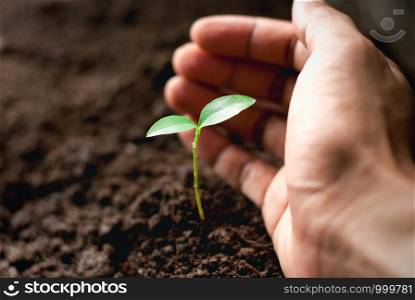 The seedling are growing from the fertile soil, while the hands of men are gently embraced.