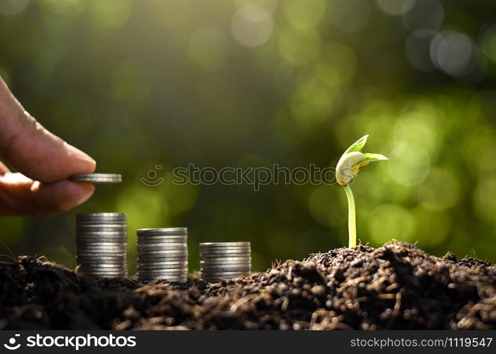 The seedlings are growing and the hands of men are stacking up the coins.