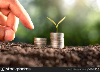 The seedlings are growing on coin placed on the soil. While there are men's hands are gently touching.