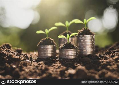 The seedlings are growing on coins that are stacked on fertile soil.