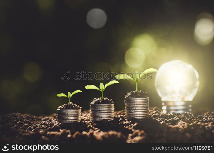 The seedlings are growing on the coins placed on the ground, thinking about financial growth.