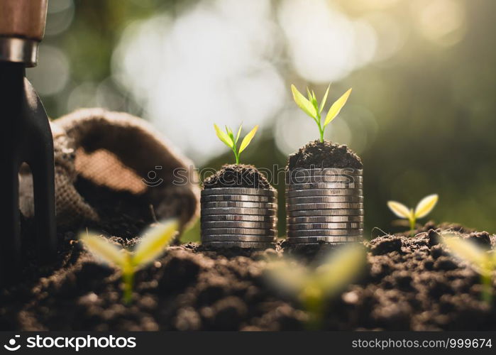 The seedlings are growing on the coins placed on the ground, thinking about financial growth.