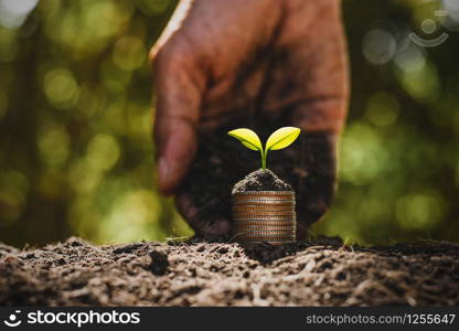 The seedlings are growing on the coins that are stacked on the ground while the hands of men are pouring the soil to grow.
