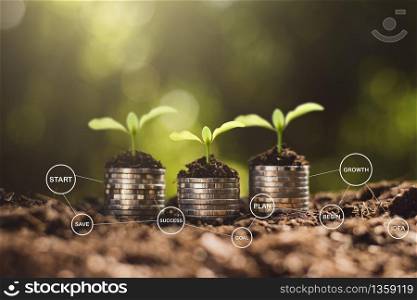 The seedlings are growing on the coins, thinking about financial growth.