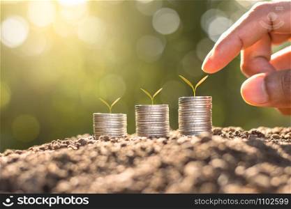 The seedlings are growing on three coin placed on rich soil. While the men&rsquo;s hands are gently touching. The morning sun is shining.