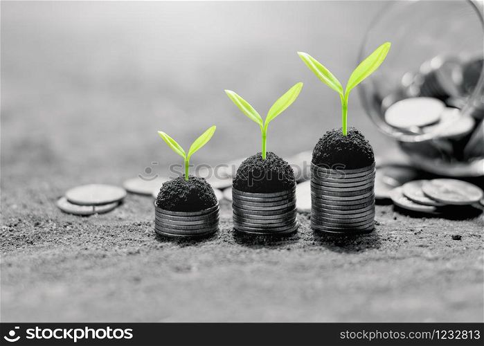 The seedlings were growing on a coin placed three rows on a dirt ground, black and white tone.