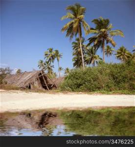 the shack on the beatiful palm beach photo