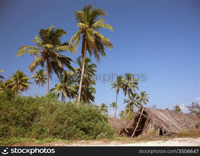 the shack on the beatiful palm beach photo
