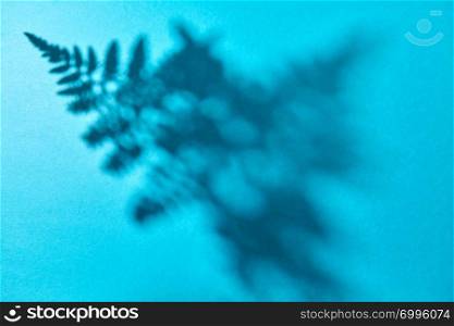 The shadow pattern of the leaves of a fern on a blue background with space for text. Layout for your ideas. Top view. Pattern of shadows, from fern leaves on a blue background with space for text. Layout for your ideas. Top view