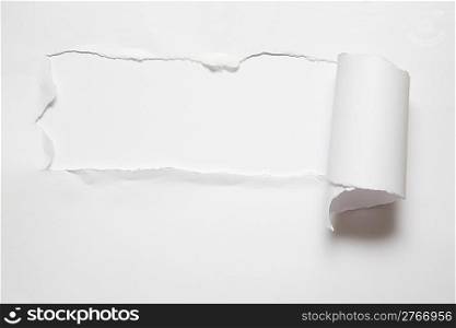 the sheet of torn paper against the white background