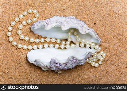 The shell with a pearl beads lies on sand
