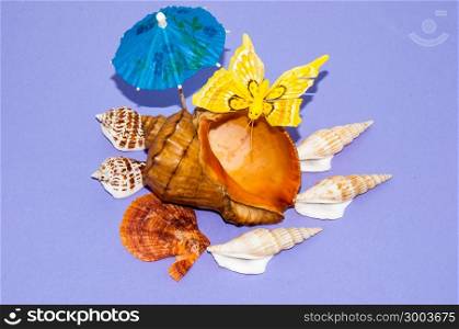 The shells of marine animals. It is time to intend on leave