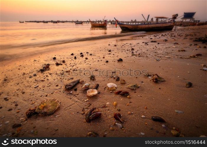 The shells on the beach with sunset sky
