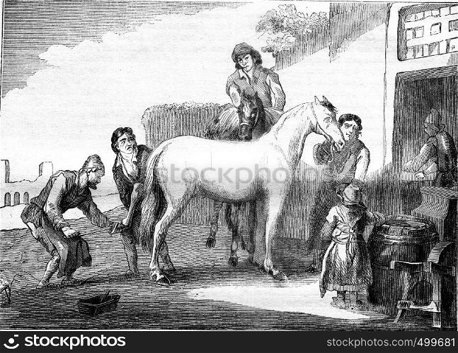 The shoeing Marshal, vintage engraved illustration. Magasin Pittoresque 1841.