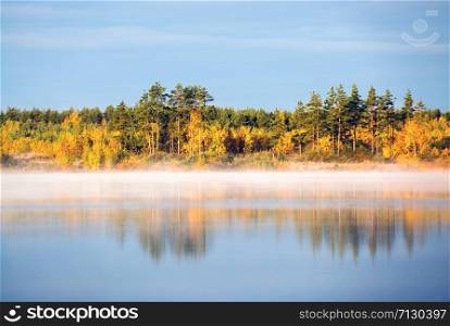 The shore of the misty lake in the early morning lit by the bright sun . Autumn landscape.Vsevolozhsk, Leningrad region.. The shore of the misty lake in the early morning lit by the bright sun . Autumn landscape.