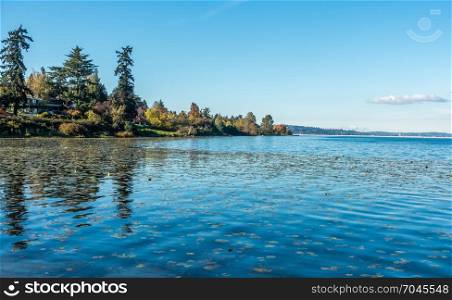 The shoreline of Lake Washington near Seattle. Interstate ninety bridge can be seen in the distance.