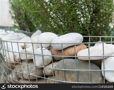 the shrub is decorated with round stones in a metal grid. garden decoration. the stones in the grid