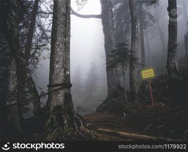 "The sign "Danger" in the forest of Caucasus mountains. Trees in the fog"
