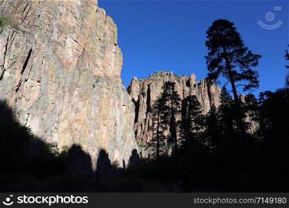 The silhouette of a Ponderosa pine with the Canyon walls of the Gila river, in Gila National Forest, New Mexico.. Ponderosa Pine Silhouette